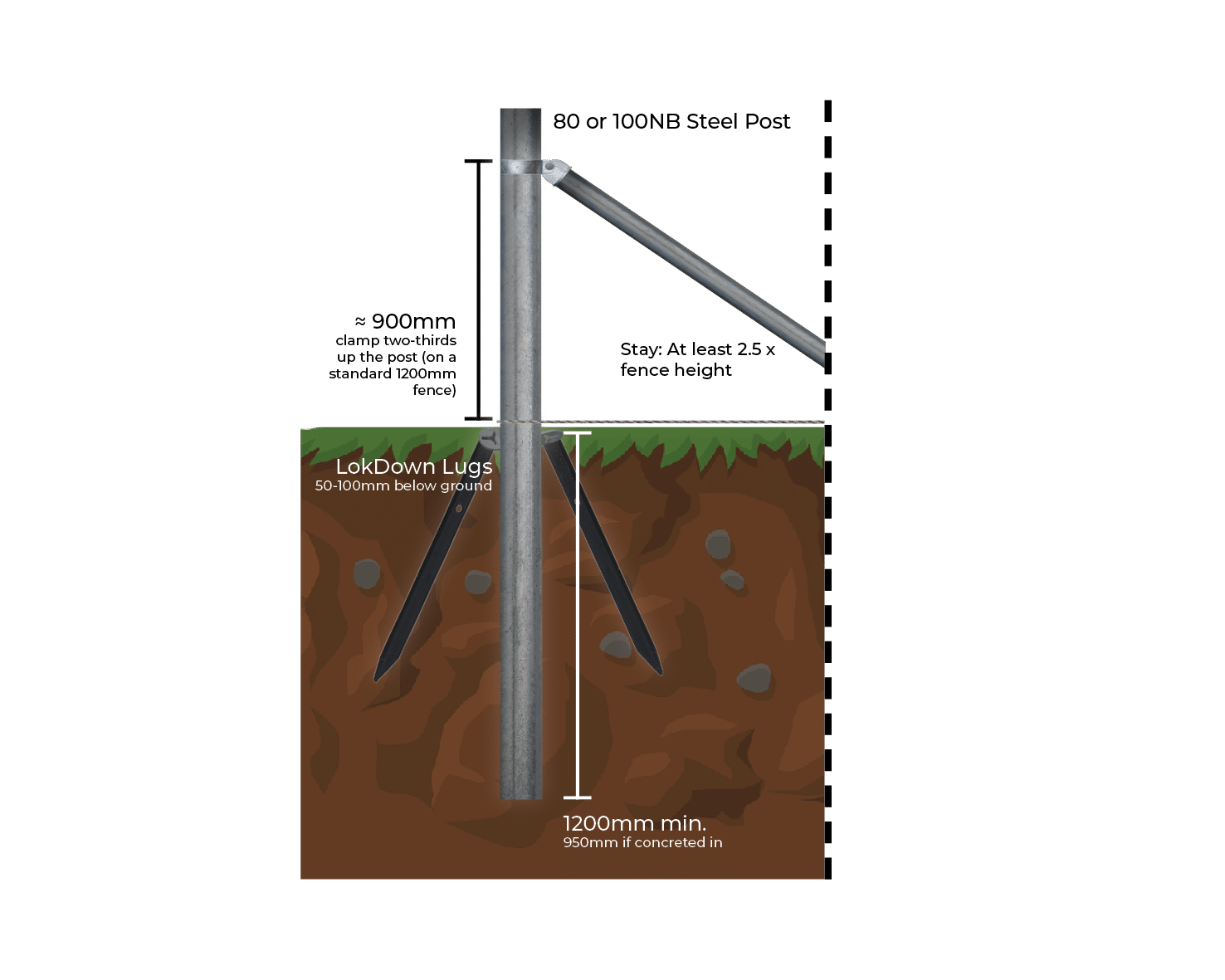StayTight end assembly diagram: 80NB or 100NB steel post driven 1200mm into the ground (950mm if concreted in), stay at least 2.5 times fence height, post clamp two-thirds up the post at approximately 900mm, LokDown Lugs 50 to 100mm below ground