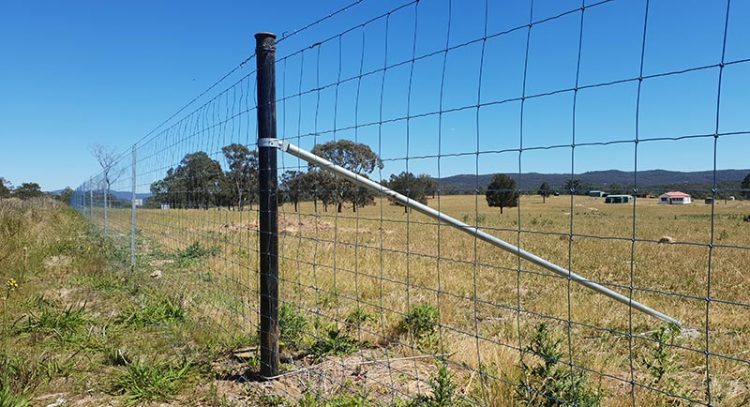 Exclusion Fencing: Reduce The Impact From Feral Pests | Rotech Rural