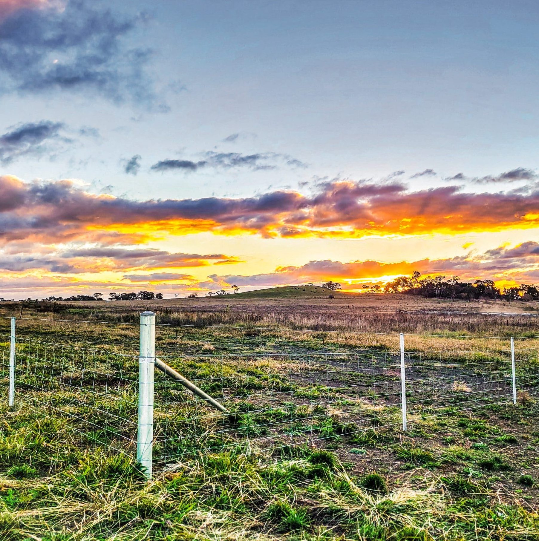 Rural Fencing Supplies Farm Fences Rotech Rural