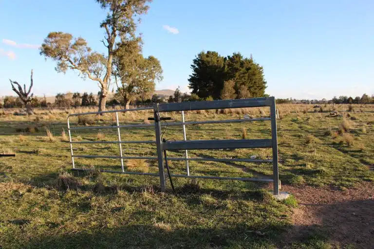 Steel Content Posts Galvanised Steel Fence Posts | Rotech Rural
